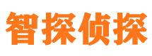 泽普市调查公司